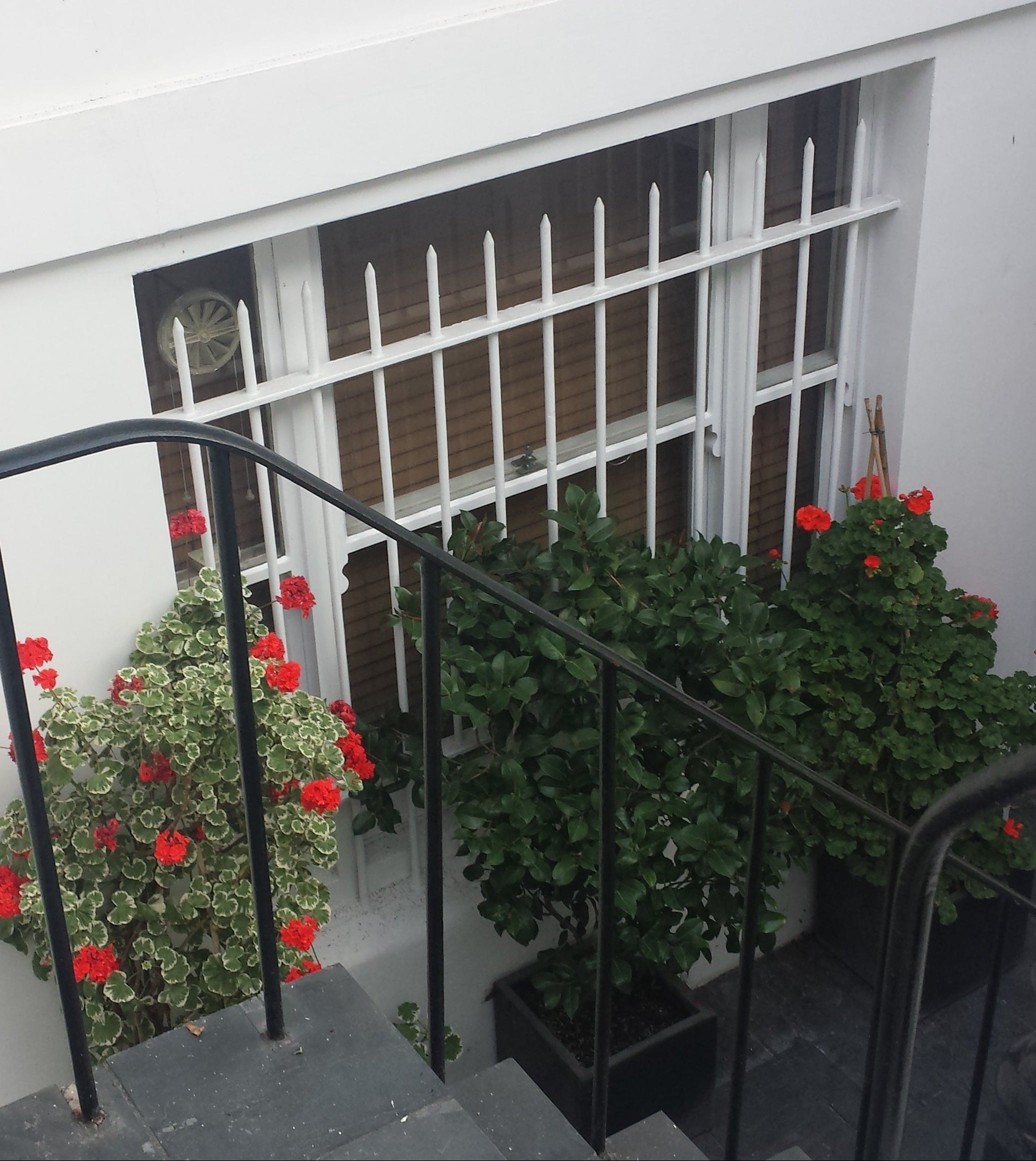 Window Security Grilles