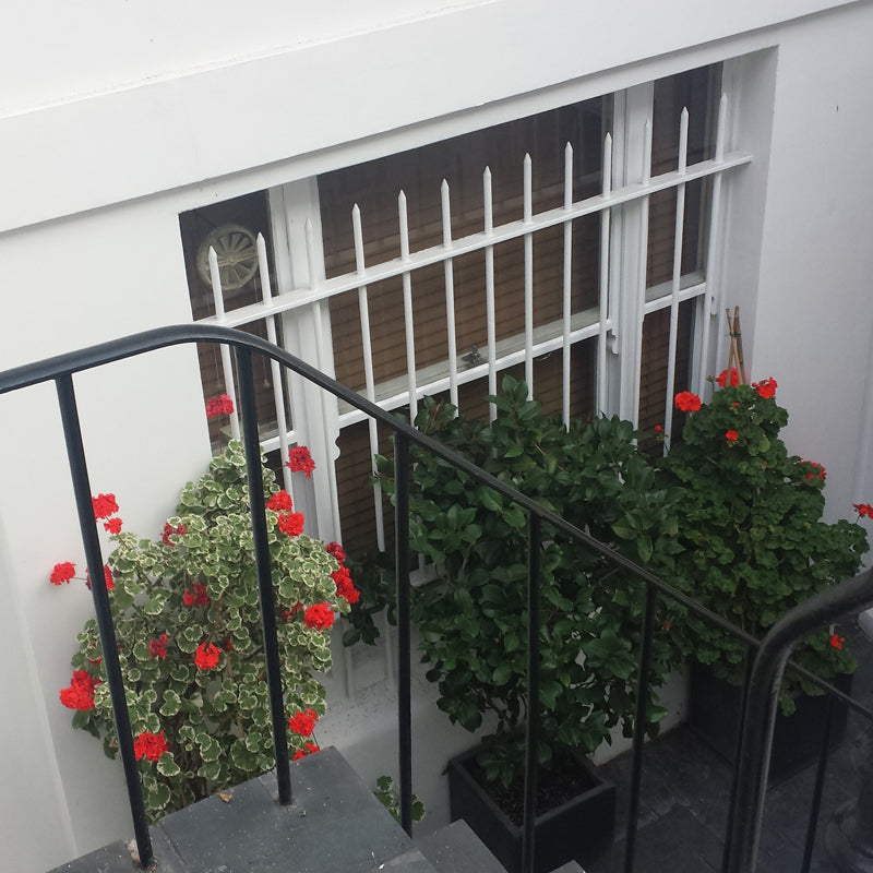 Window Security Bars