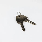 Blank Keys for MT120M1 Low Level External Override - My Store